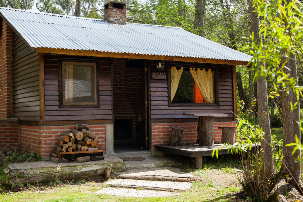 Exterior of old wooden cabin in forest on sunny day